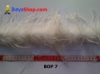 bulu ostrich BOP 7 - feather medium.jpg